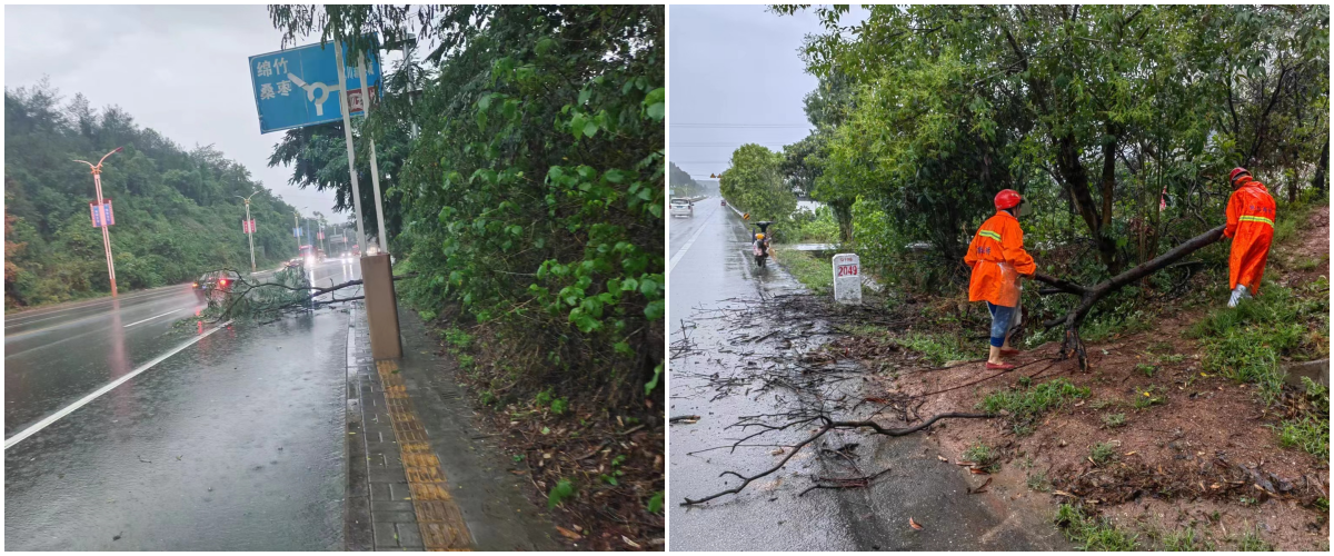 管養(yǎng)路段永安路、綿梓路.png
